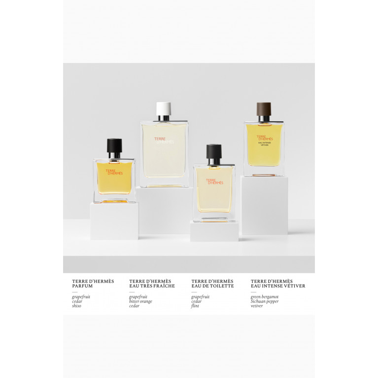 Hermes - Terre d'Hermès Eau de Parfum, 200ml