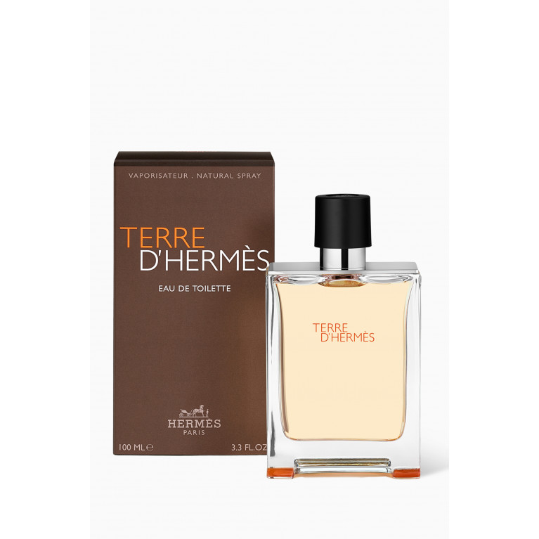 Hermes - Terre d’Hermès Eau de Toilette, 100ml