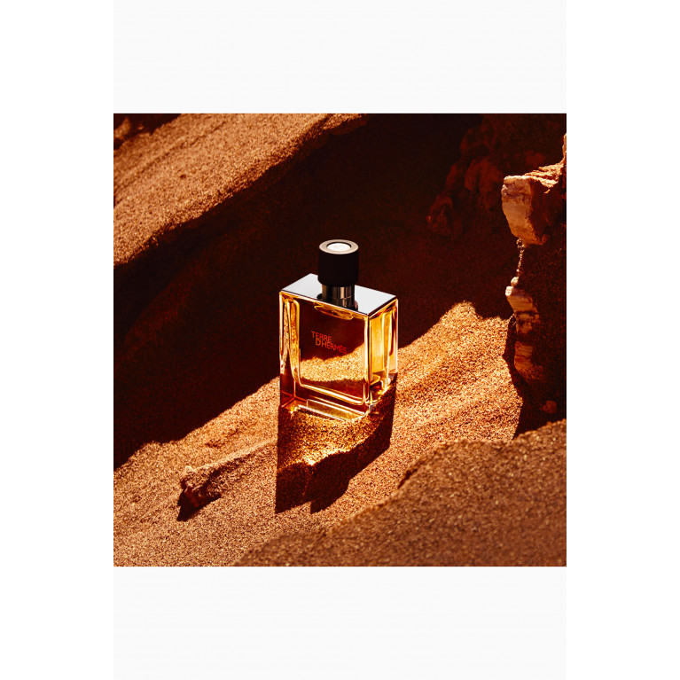 Hermes - Terre d'Hermès Eau de Parfum, 75ml