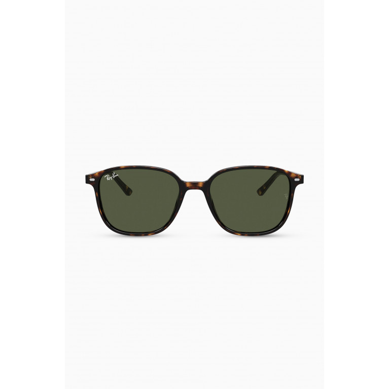 Ray-Ban - Leonard Polarized Sunglasses