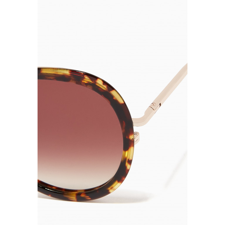 Jimmy Fairly - The Seawall in Acetate & Stainless Steel