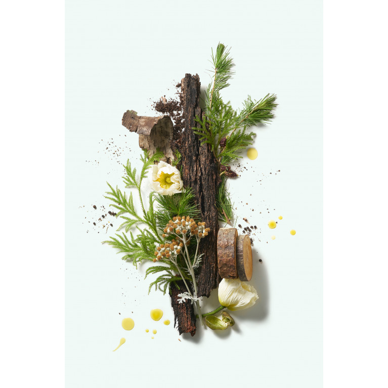 Corpus Naturals - Cedar Flora Natural Deodorant, 75g
