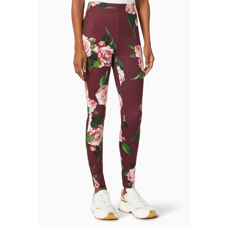 Dolce & Gabbana - Camellia Leggings in Run-resistant Jersey
