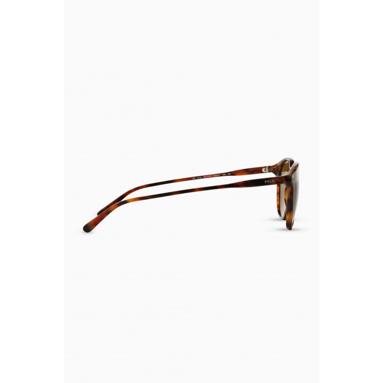 Polo Ralph Lauren - Round Sunglasses in Acetate Brown