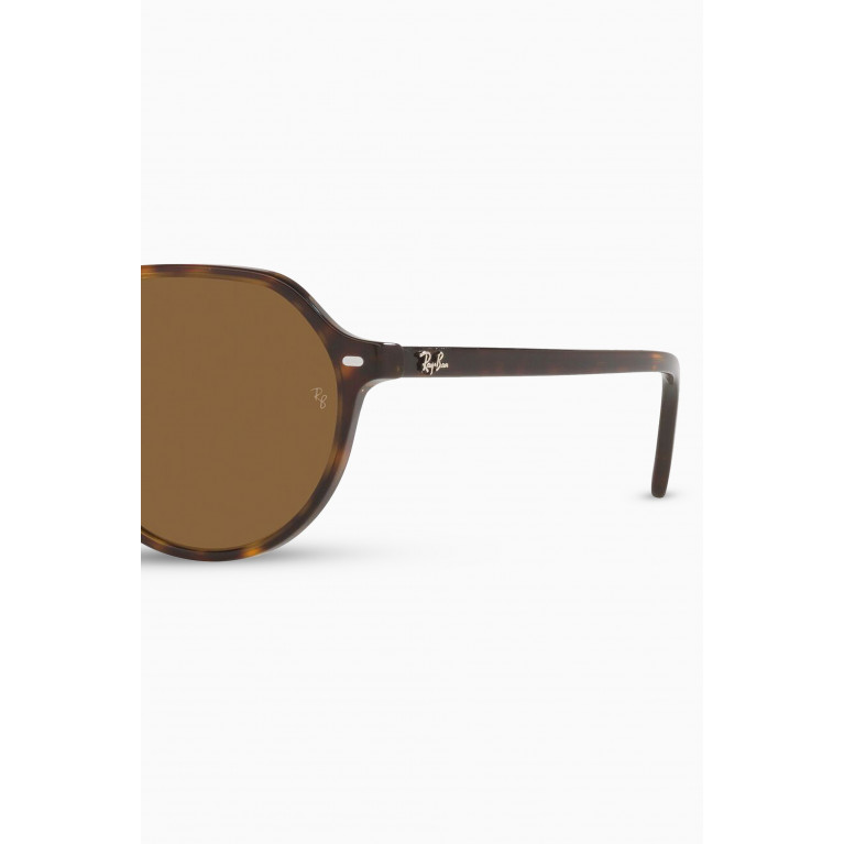 Ray-Ban - Thalia Sunglasses in Acetate Brown