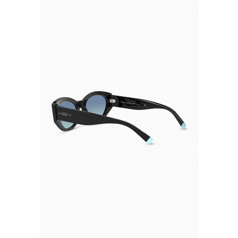 Tiffany & Co. - Oval Sunglasses in Acetate Black