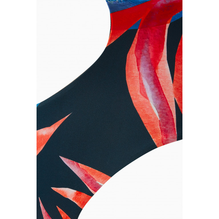 Louisa Ballou - Half Moon One Piece Swimsuit in Recycled Lycra Multicolour
