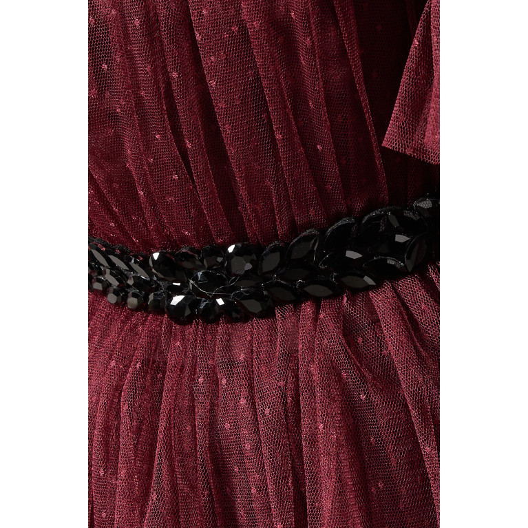 NASS - Tiered Dress in Dotted Mesh Burgundy