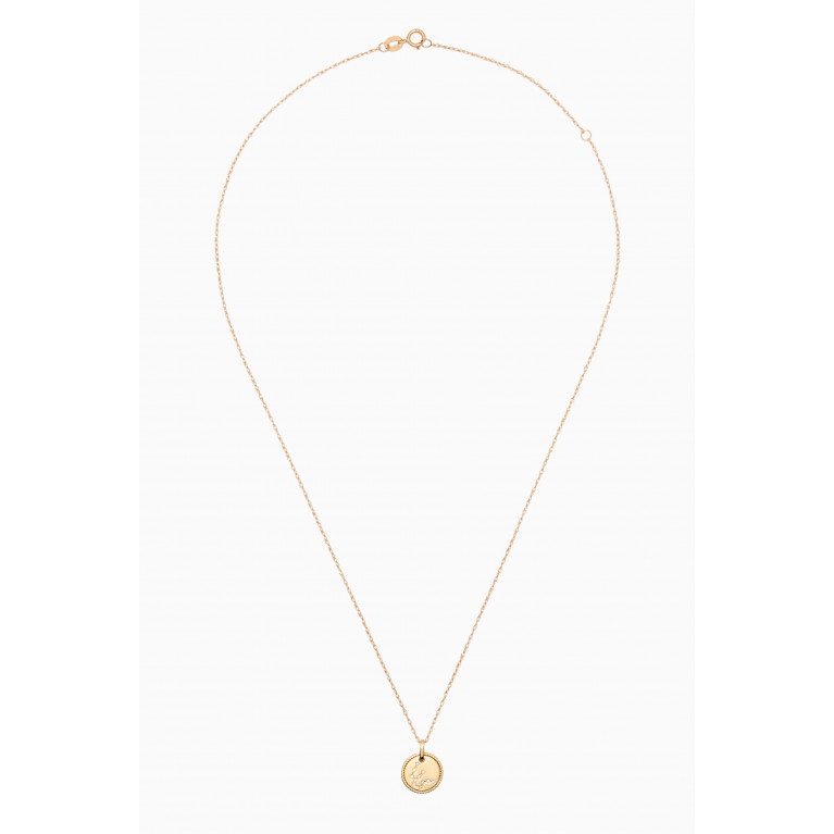 STONE AND STRAND - Mini Aquarius Medallion Necklace in 10kt Yellow Gold