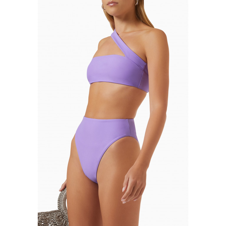 Jade Swim - Incline Bikini Bottoms in LYCRA® Purple
