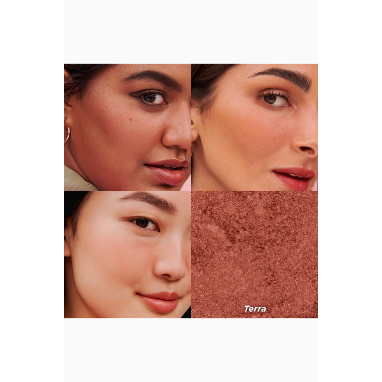 Benefit Cosmetics - Terra Golden Brick-Red Blush, 6g