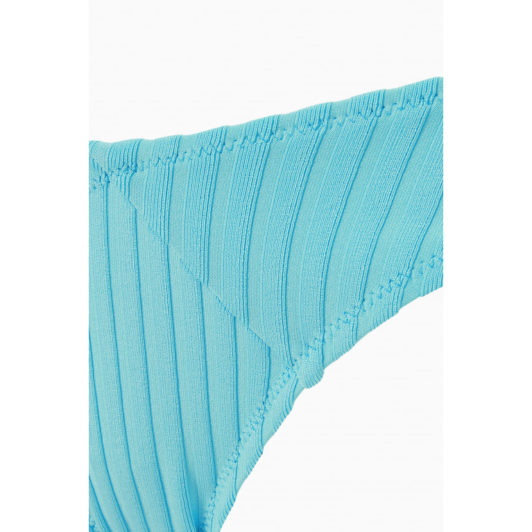Solid & Striped - The Alexia Bikini Briefs in Rib-knit Nylon