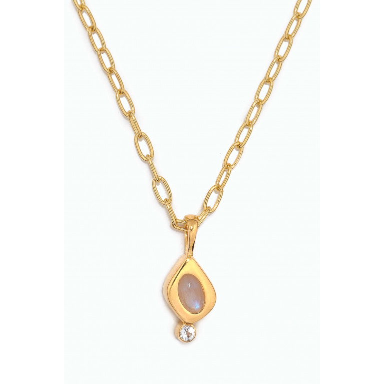 Awe Inspired - Amulet Moonstone Necklace in 14kt Gold Vermeil