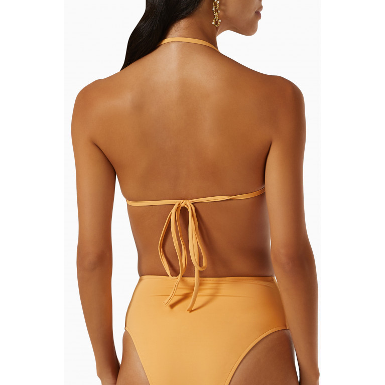 Bondi Born - Gia Bikini Top in Embodee™ Fabric