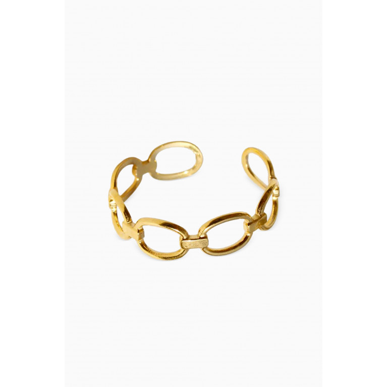 The Jewels Jar - Cira Chariot Waterproof Ring in 18kt Gold-plated Steel
