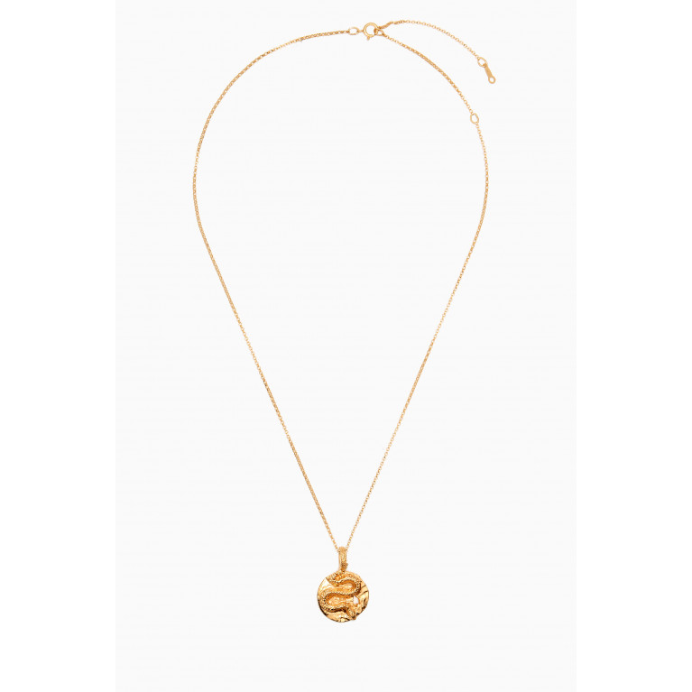 Alighieri - The Medusa Medallion Necklace in 24kt Gold-plated Bronze