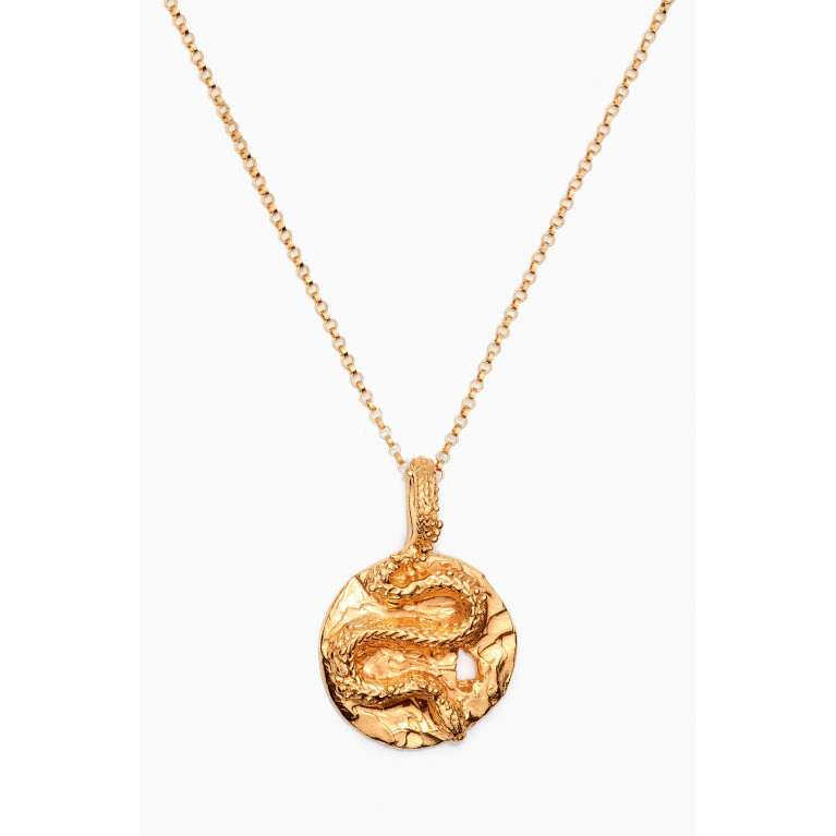 Alighieri - The Medusa Medallion Necklace in 24kt Gold-plated Bronze