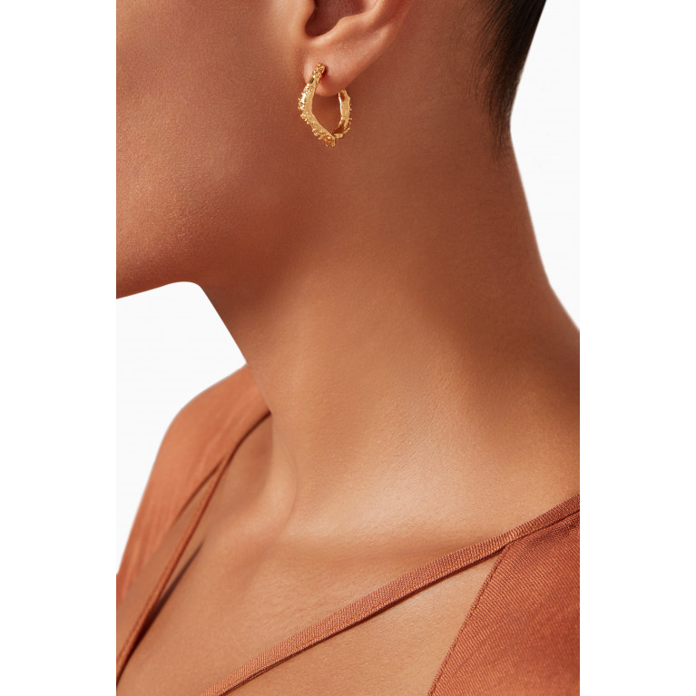 Alighieri - The Lunar Rocks Hoop Earrings in 24kt Gold-plated Bronze