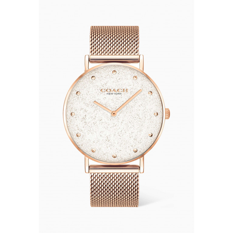 Coach - Perry Watch in Stainless Steel, 36mm
