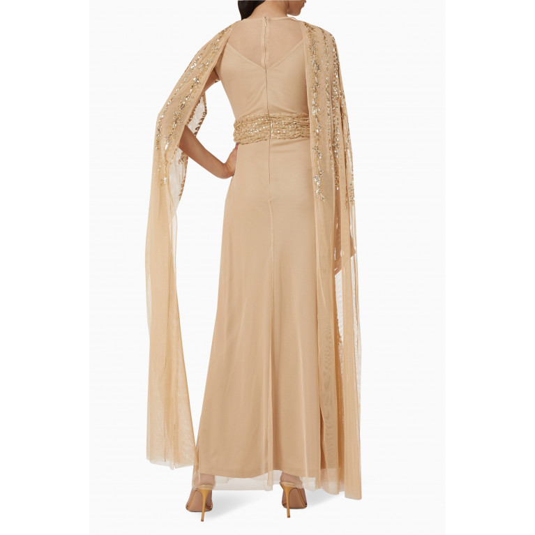 Raishma - Embellished Cape Sleeves Gown in Tulle Mesh