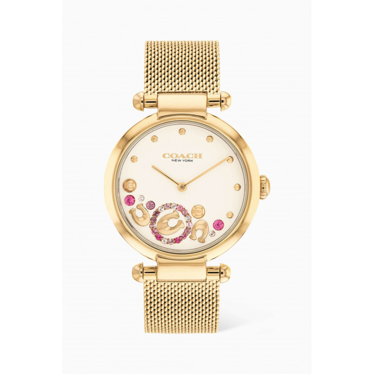 Coach - Cary Watch in Stainless Steel, 32mm