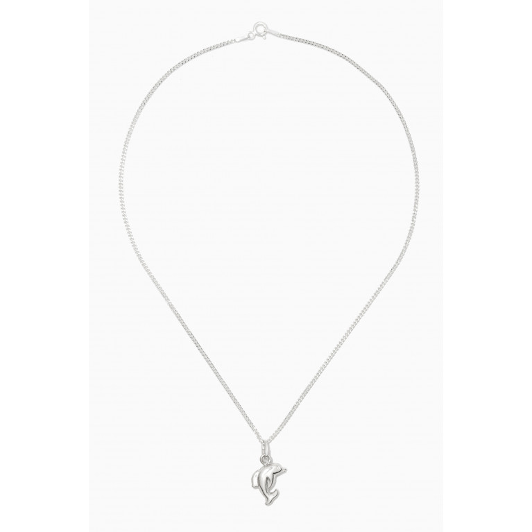 The Jewels Jar - Dolphin Pendant Chain in Sterling Silver