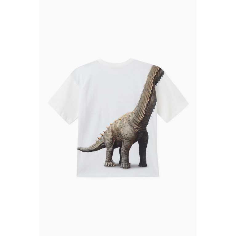 Molo - Dino Meeting Graphic Print T-shirt in Organic Cotton