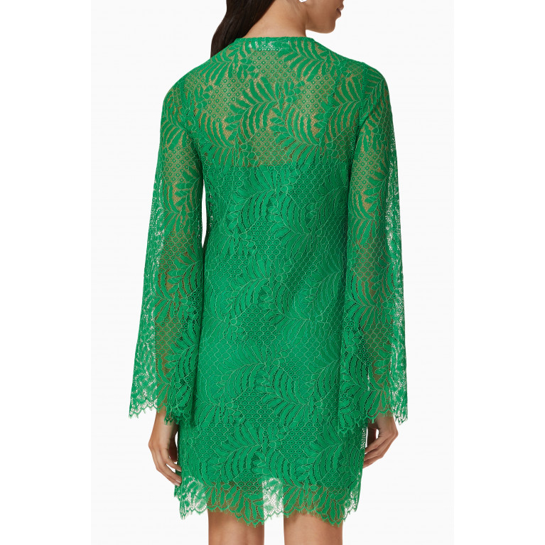 Mergim - Brandy Mini Dress in Cotton Lace