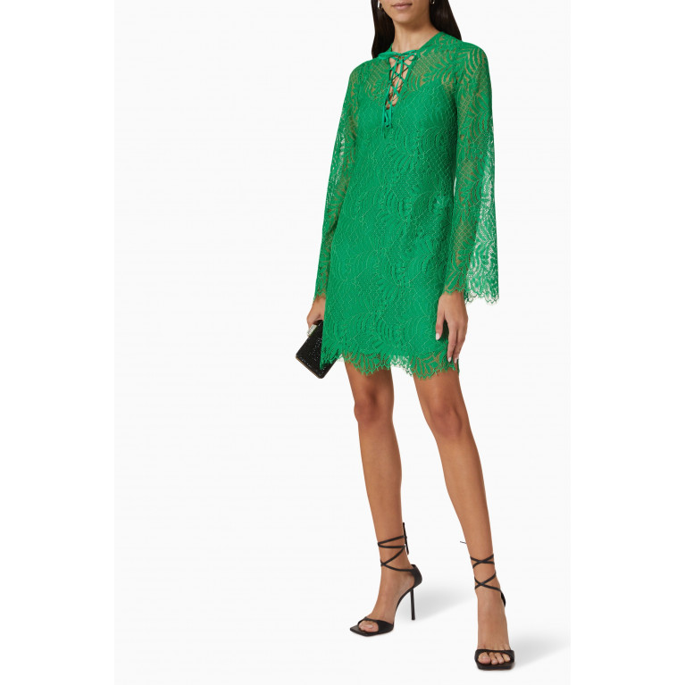 Mergim - Brandy Mini Dress in Cotton Lace