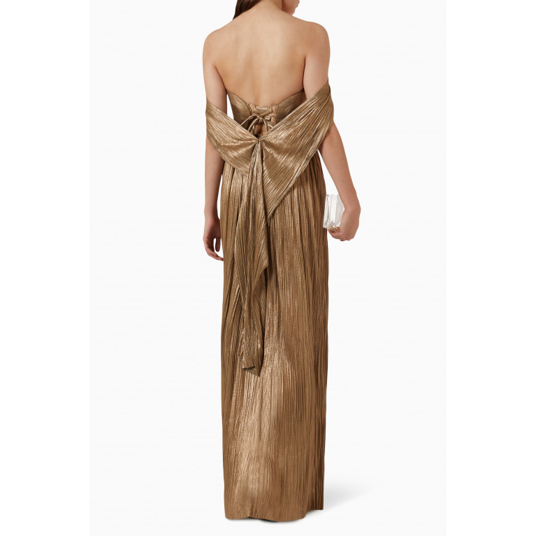 Maria Lucia Hohan - Tasia Pleated Maxi Dress in Silk