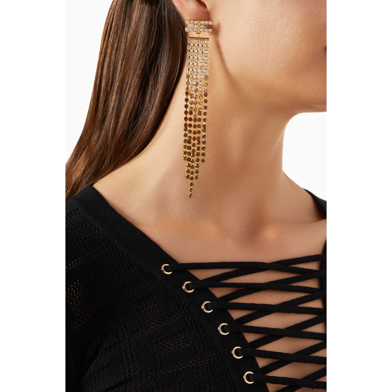 Elisabetta Franchi - Rhinestone Chain Earrings in Metal Brown