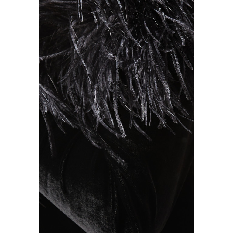 Alessandra Rich - Feather Gown in Velvet