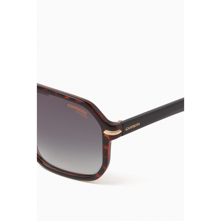 Carrera - Havana Sunglasses in Acetate Brown