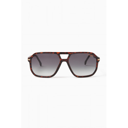 Carrera - Havana Sunglasses in Acetate Brown