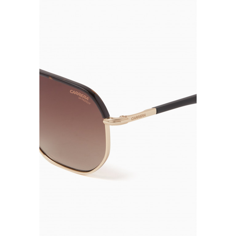 Carrera - Havana Sunglasses in Acetate Gold