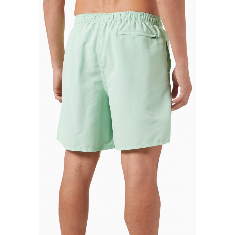 Stussy - Big Basic Swim Shorts in Nylon Green