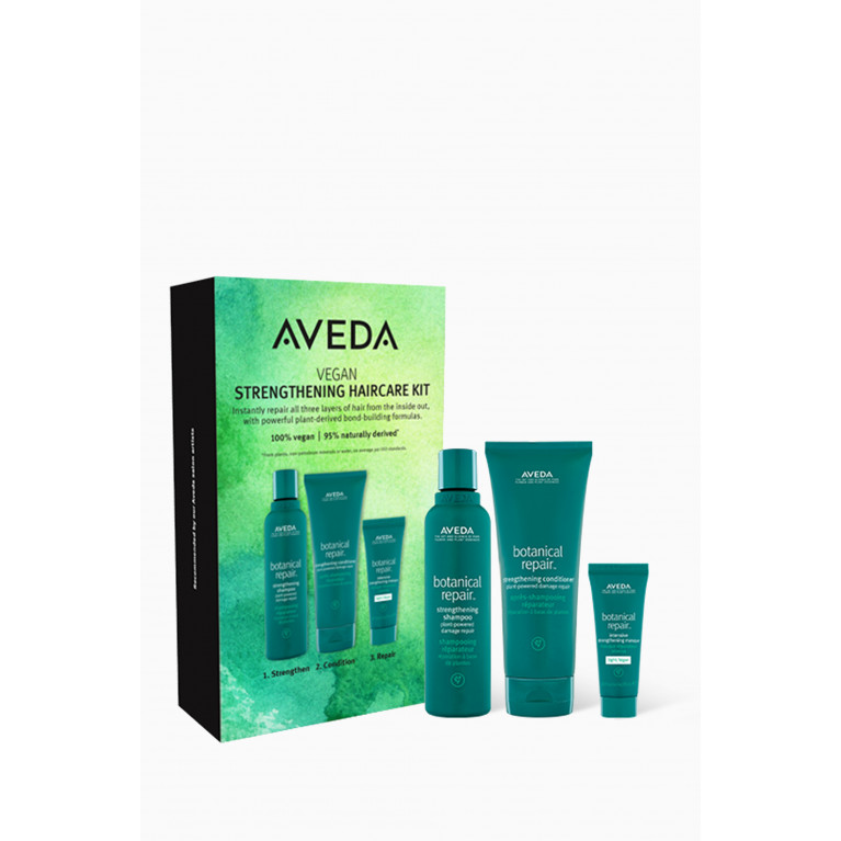 Aveda - Botanical Repair Strengthening Haircare Kit