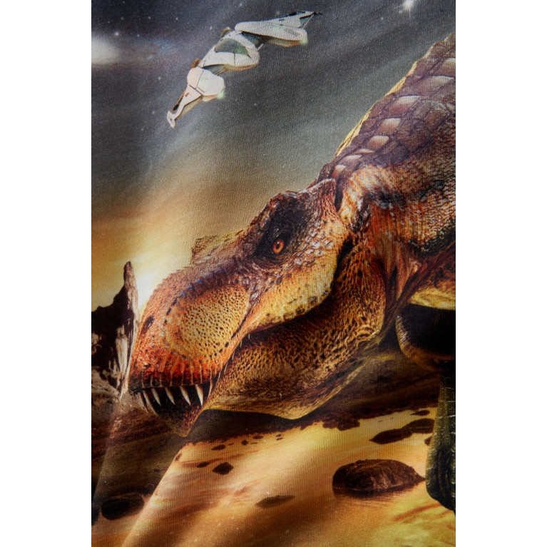 Molo - Riley T-rex Planet T-shirt in Cotton-jersey Black