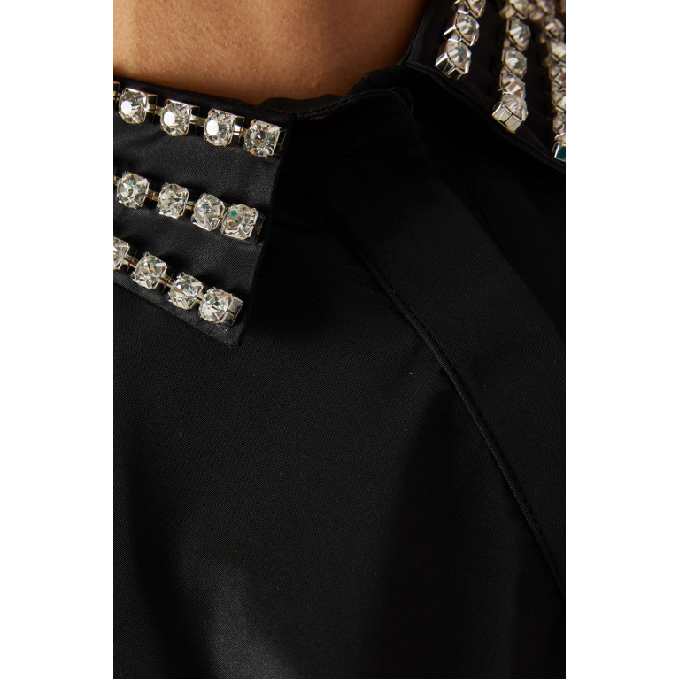 NASS - Embroidered Collar Dress in Taffeta