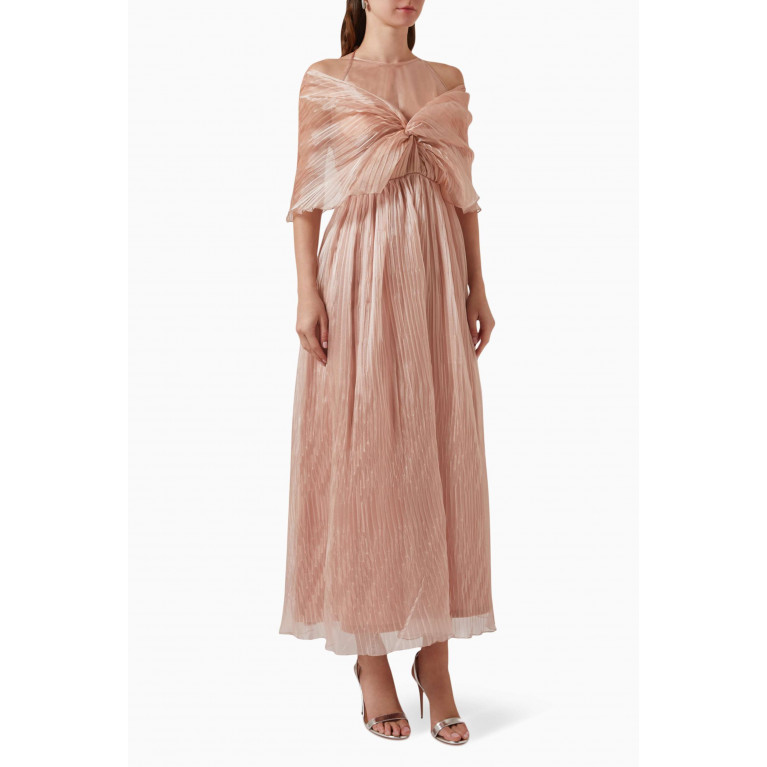 Alize - Pleated Shawl Dress in Organza