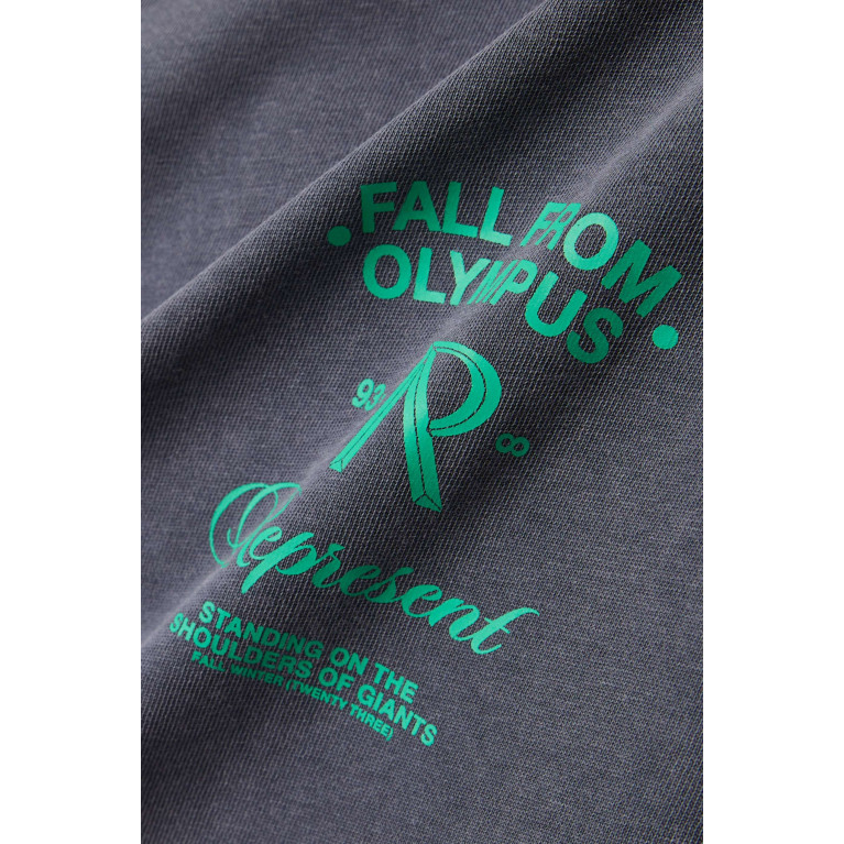 Represent - Fall From Olympus T-shirt in Cotton-jersey Grey