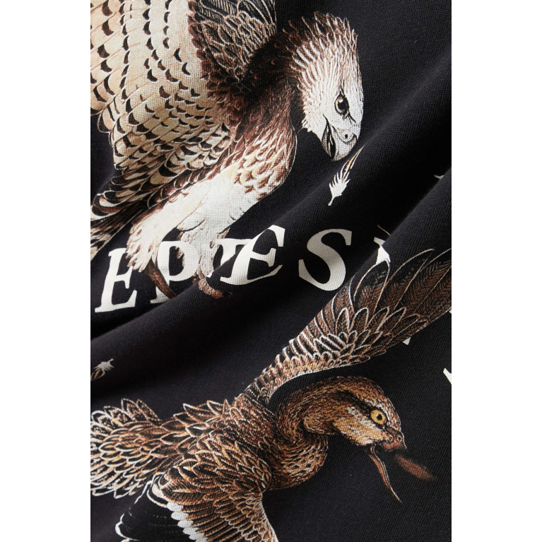 Represent - Birds of Prey T-shirt in Cotton-jersey Black