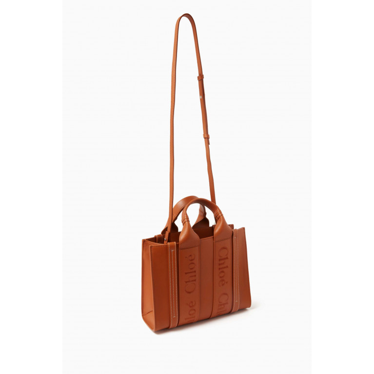 Chloé - Small Woody Embroidered Tote Bag in Calfskin Leather Brown