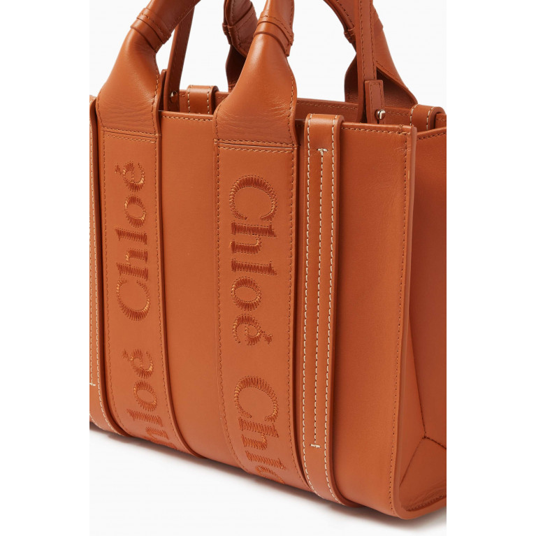 Chloé - Small Woody Embroidered Tote Bag in Calfskin Leather Brown