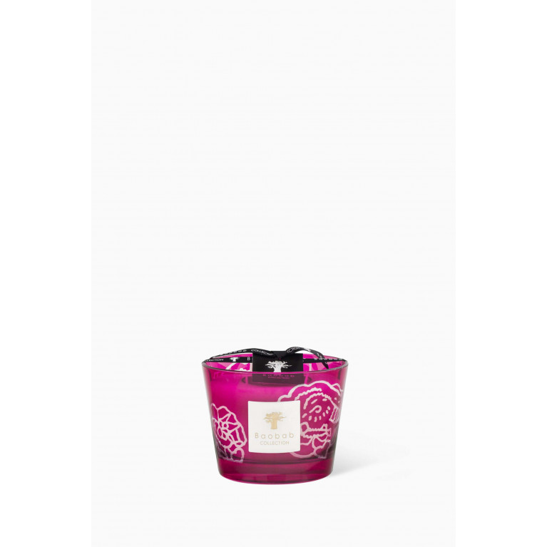 Baobab Collection - Roses Burgundy Max 10 Candle Collectible, 500g