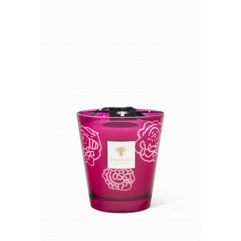 Baobab Collection - Roses Burgundy Max 16 Candle Collectible, 1100g