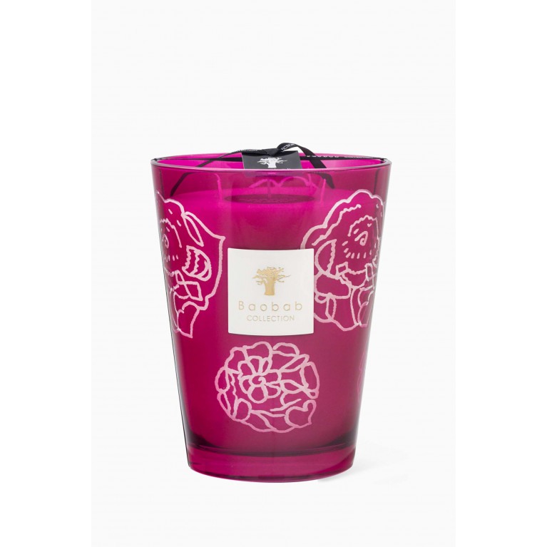 Baobab Collection - Roses Burgundy Max 24 Candle Collectible, 3000g