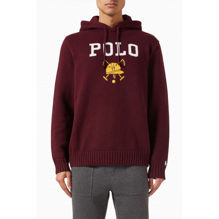 Polo Ralph Lauren - Logo Hoodie in Cotton Knit