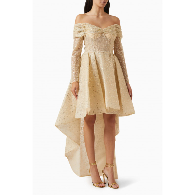 Saiid Kobeisy - Beaded Lace High-low Mini Dress in Tulle