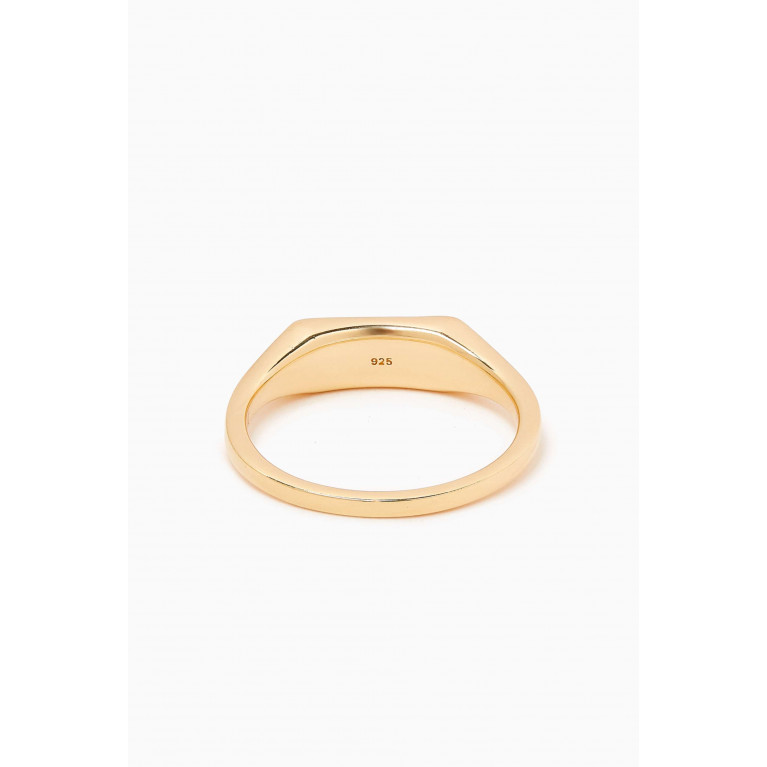 Miansai - Virgil Agate Ring in Gold Vermeil